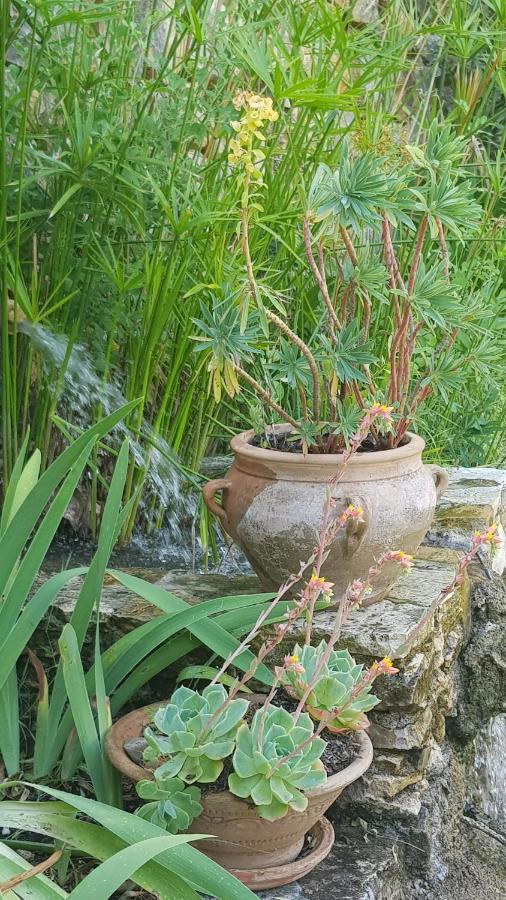 Pierres Blanches Bed & Breakfast Cotignac Luaran gambar