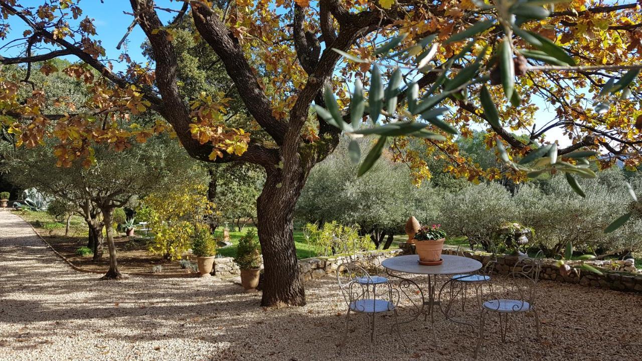 Pierres Blanches Bed & Breakfast Cotignac Luaran gambar