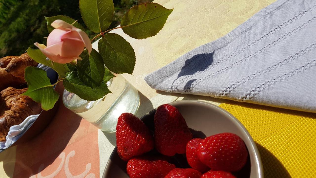 Pierres Blanches Bed & Breakfast Cotignac Luaran gambar
