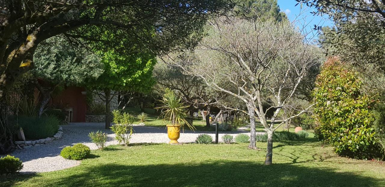 Pierres Blanches Bed & Breakfast Cotignac Luaran gambar