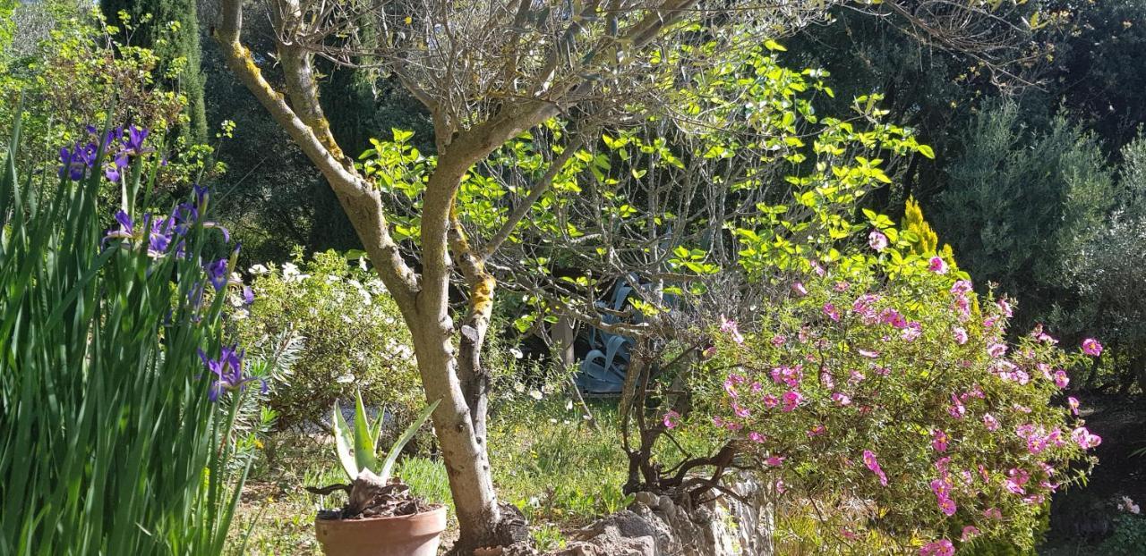 Pierres Blanches Bed & Breakfast Cotignac Luaran gambar